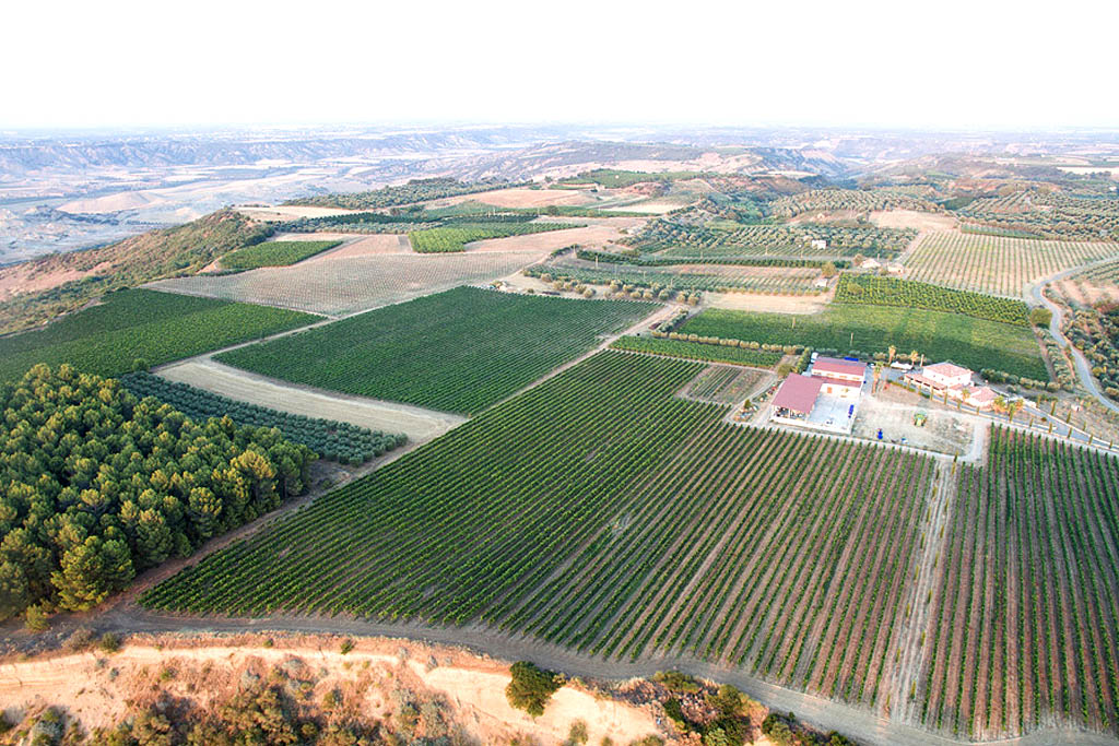 Panoramica Masseria