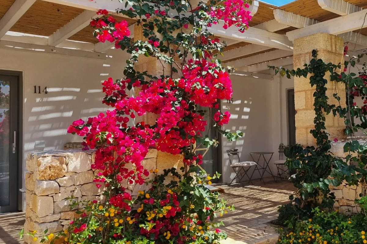 Patio privato Camere Deluxe