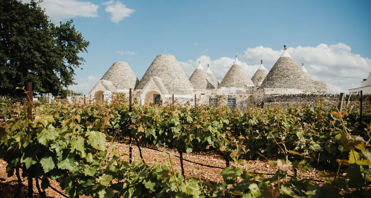 terreno con vigneto Puglia Monopoli
