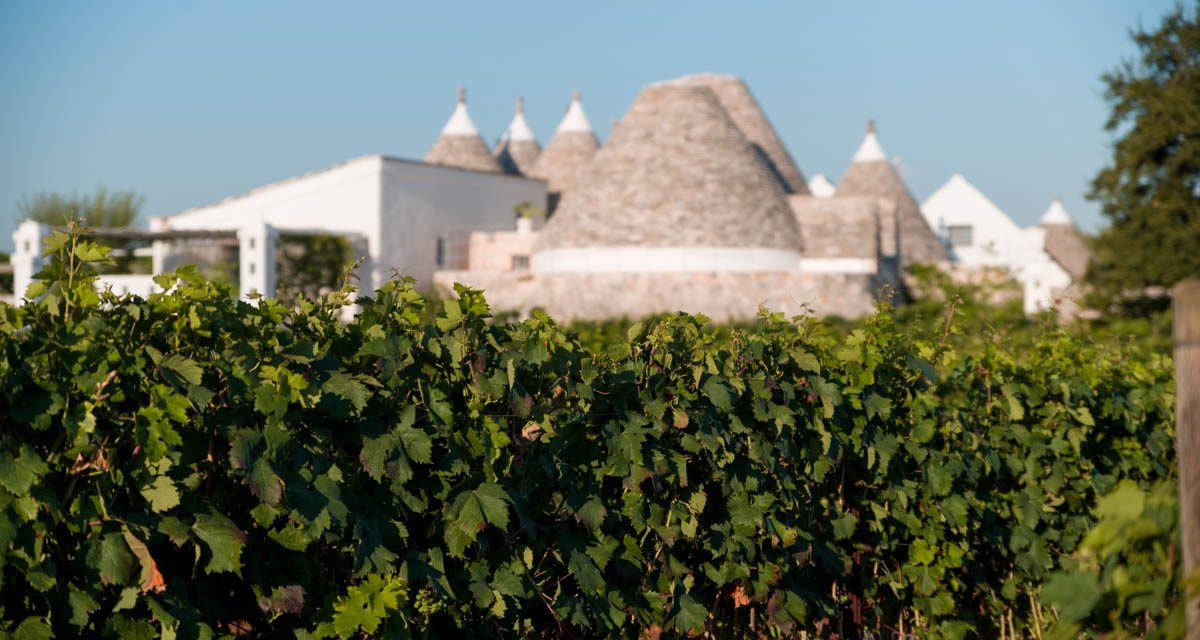 masseria trulli vigneto puglia